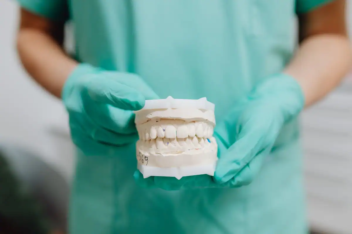 Medic cu mănuși prezintă un model de ghips al arcadei dentare